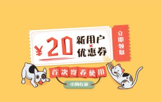 貓咪嫌地上濕，直接站在路人腳上 數(shù)字原住民文化的溫暖寓言